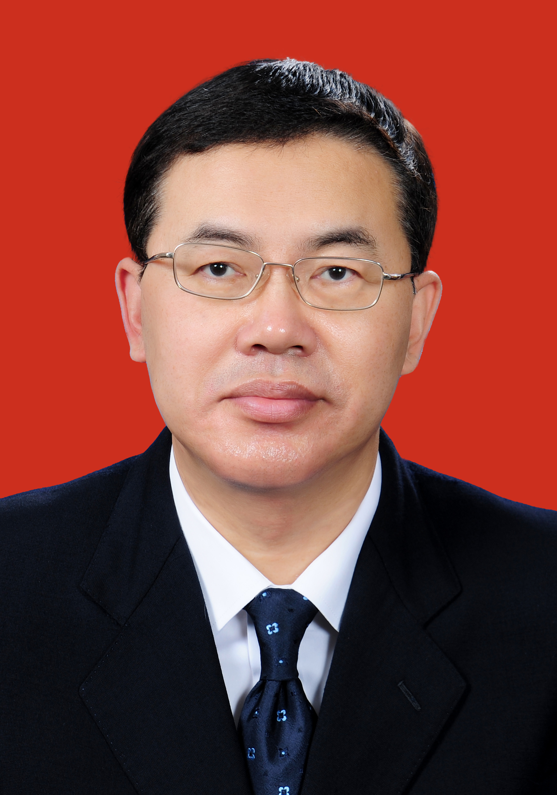 艾学峰：党组书记、主任，省大湾区办主任
